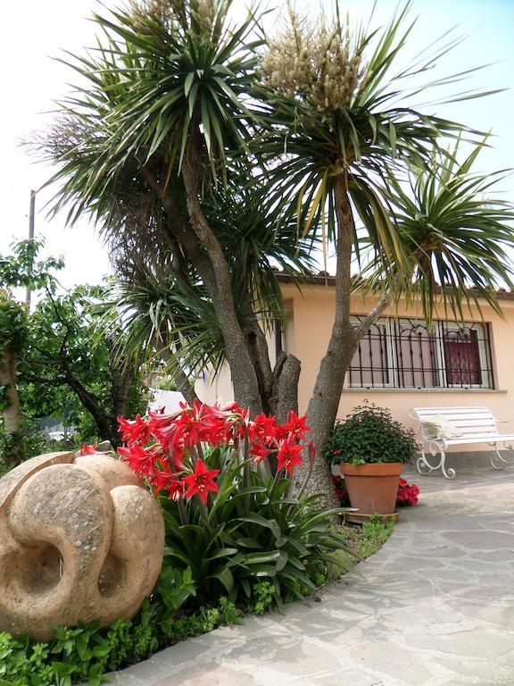 B&B Villino Lory 마리노 객실 사진